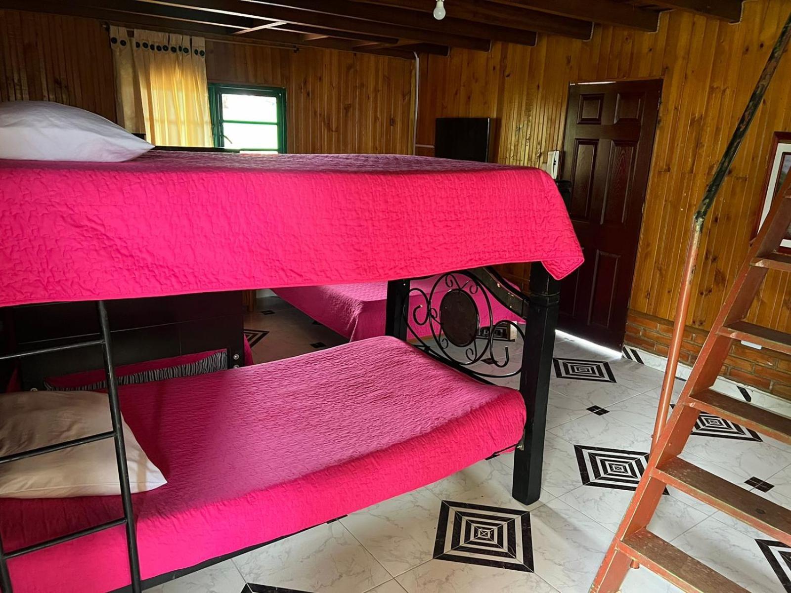 Eco Hotel La Selecta بيريرا المظهر الخارجي الصورة